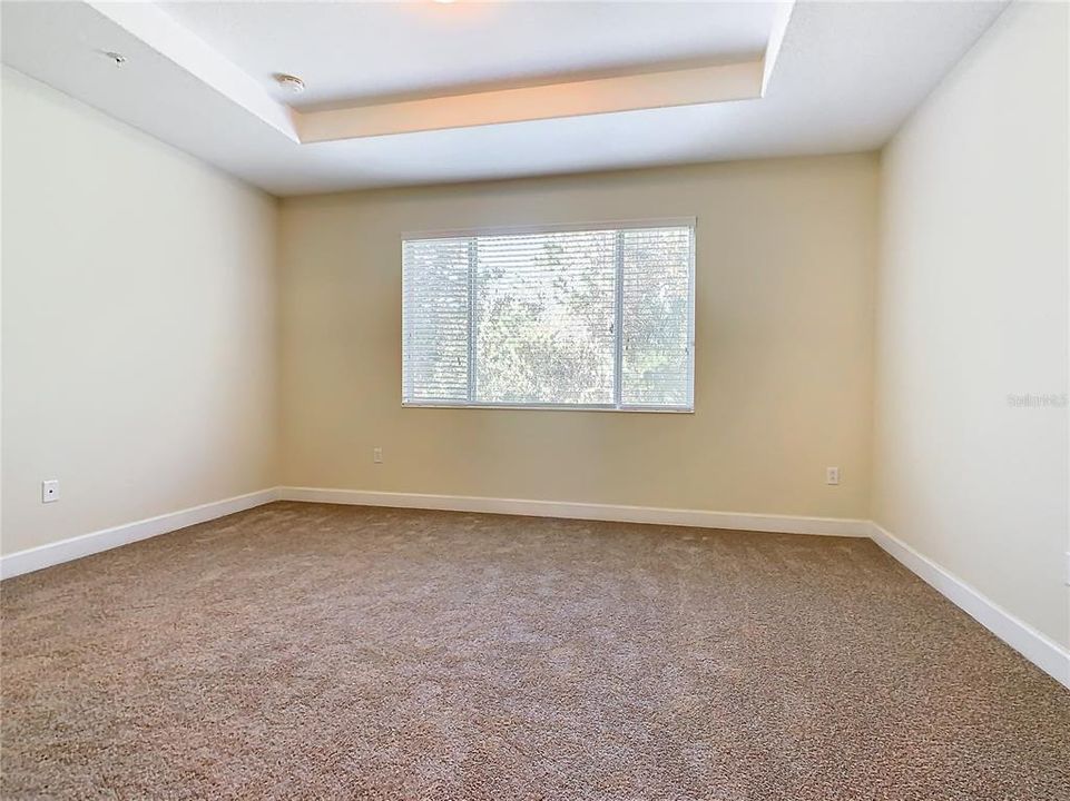 The primary bedroom with a tray ceiling looking to the conservation area in the back yard.