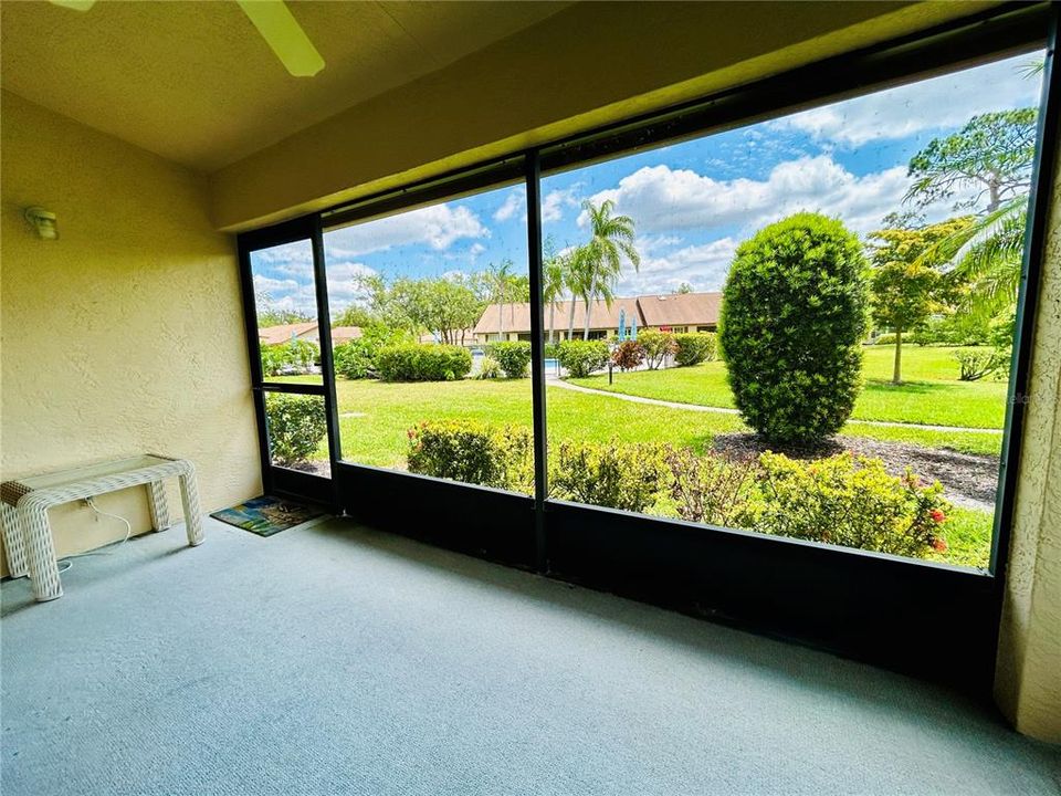 Looking out back patio