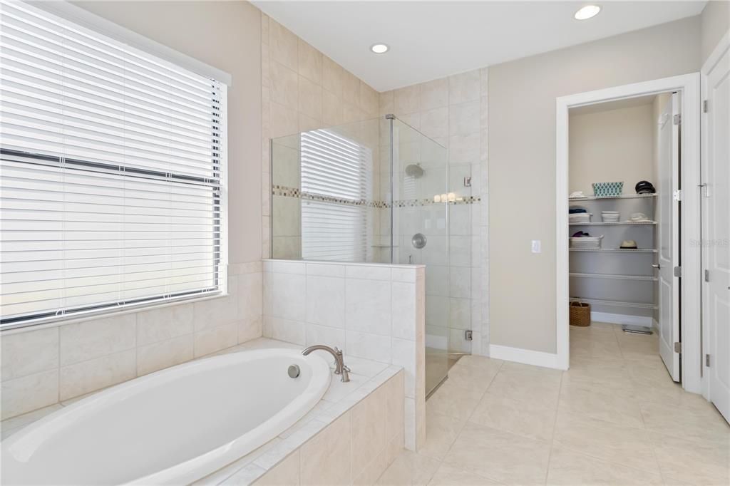 Primary Bath, soaking tub and separate shower