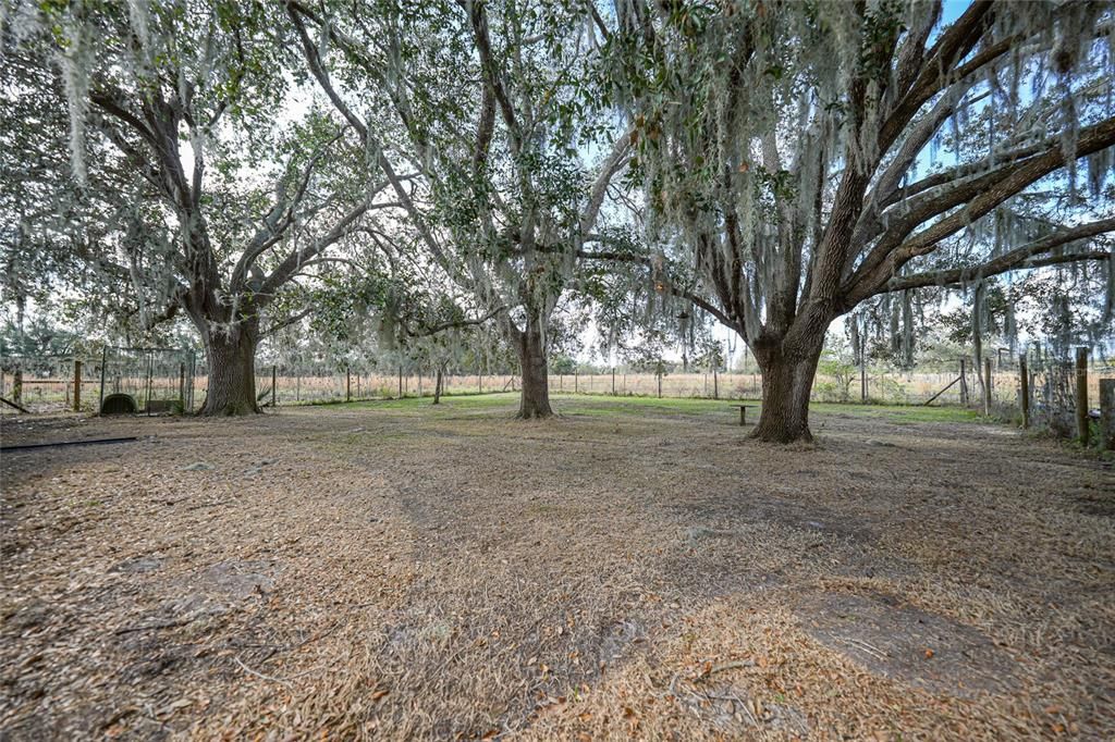 For Sale: $475,000 (3 beds, 2 baths, 1720 Square Feet)