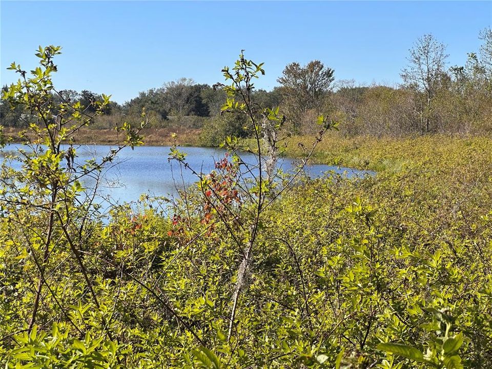 For Sale: $739,000 (2.51 acres)