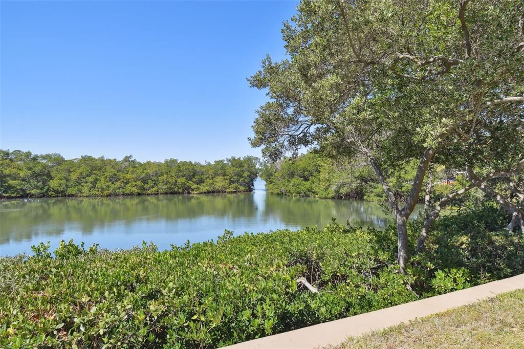 Paddleboard or Kayak the open waters right outside your door