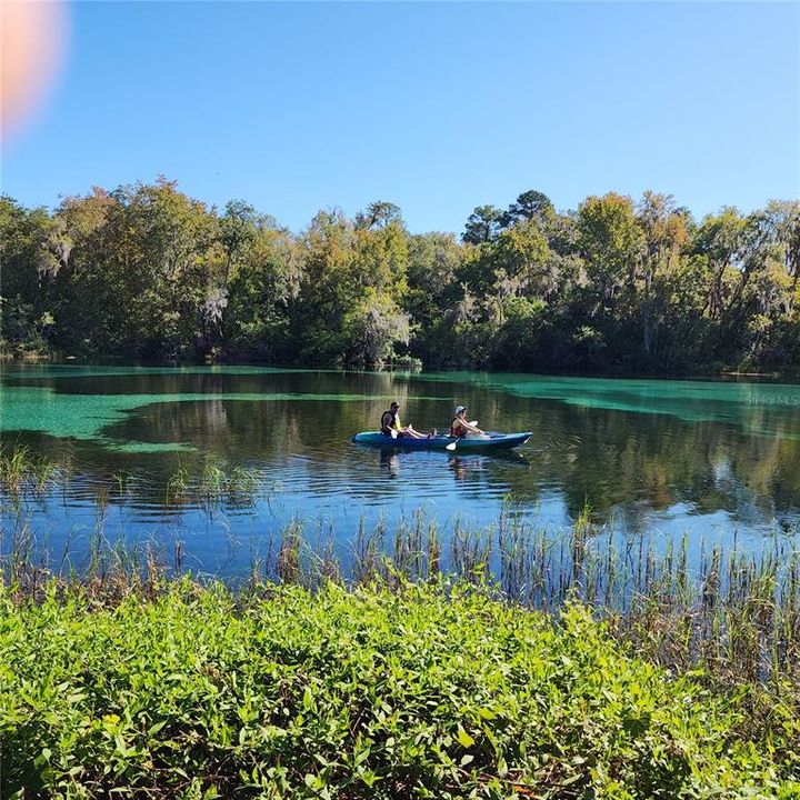 Rainbow Springs State park ..20 min from property