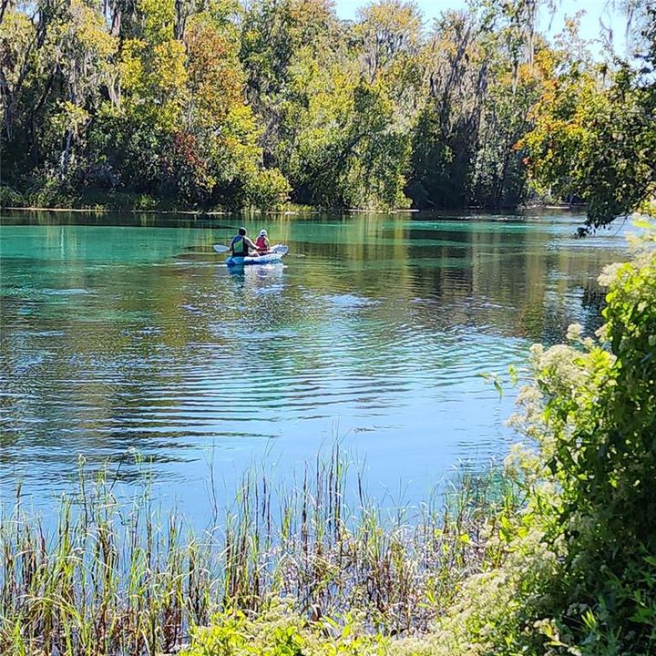 RainBow Springs State Park ..20 min. from Property