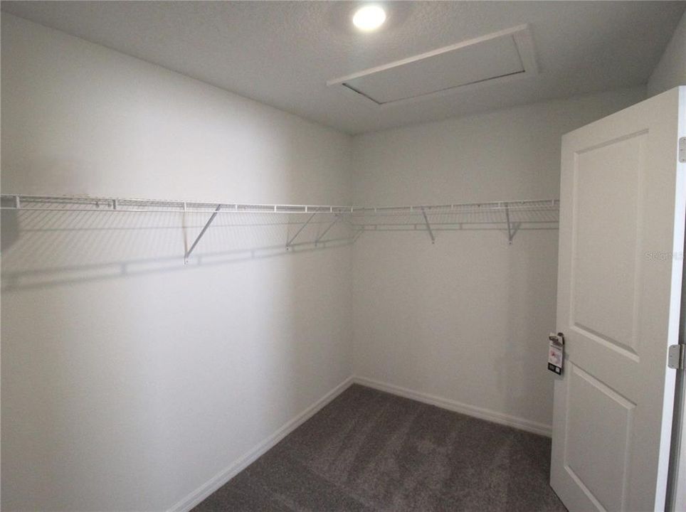 Primary Walk-in Closet