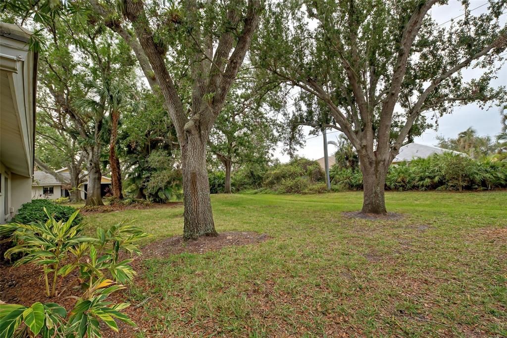 The spacious back yard.