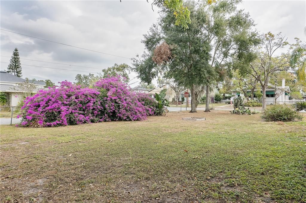 Fenced in side yard