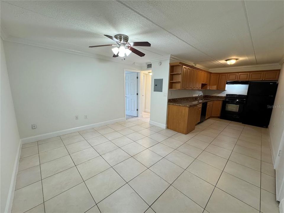 Living Room/Kitchen