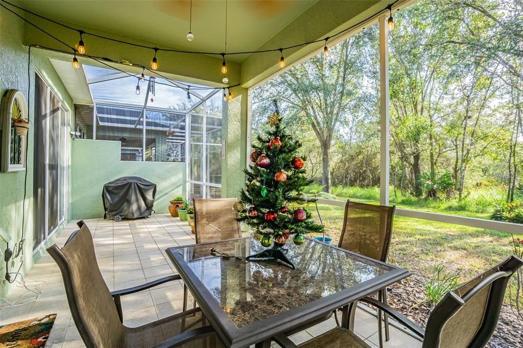 Two screened porch areas