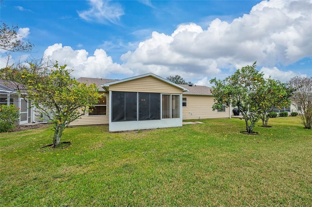 Backyard has view of fruit trees and some privacy from neighbors.