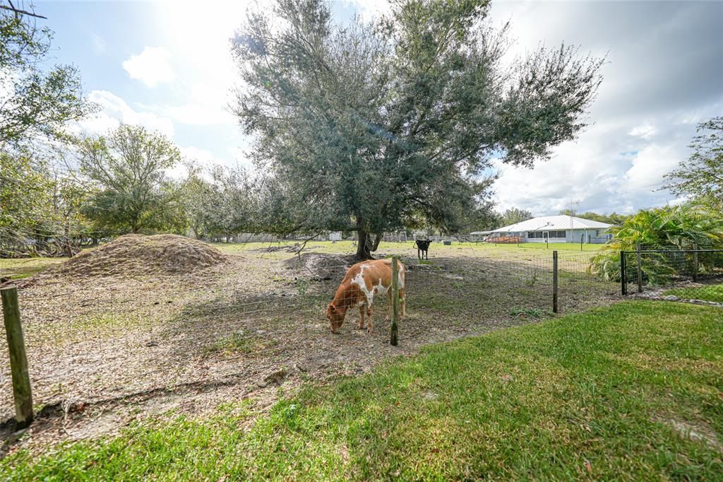 For Sale: $429,000 (3 beds, 2 baths, 1400 Square Feet)