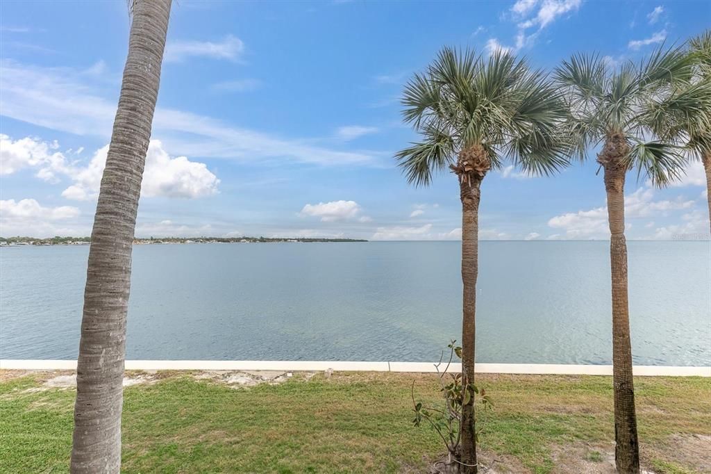 View of Tampa Bay from the living room and bedrooms