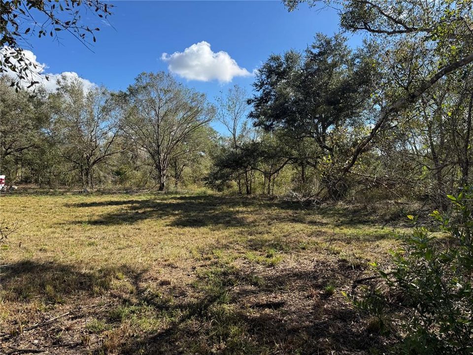 For Sale: $69,500 (1.44 acres)