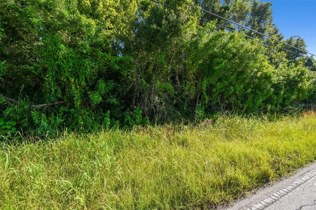 For Sale: $2,800,000 (10.00 acres)