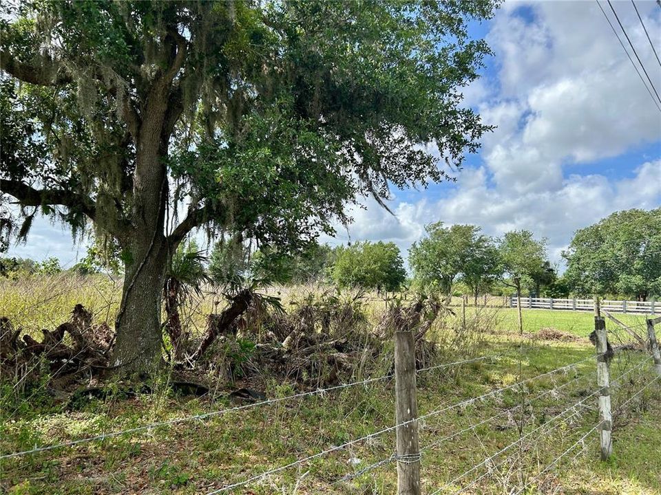 待售: $130,000 (5.41 acres)