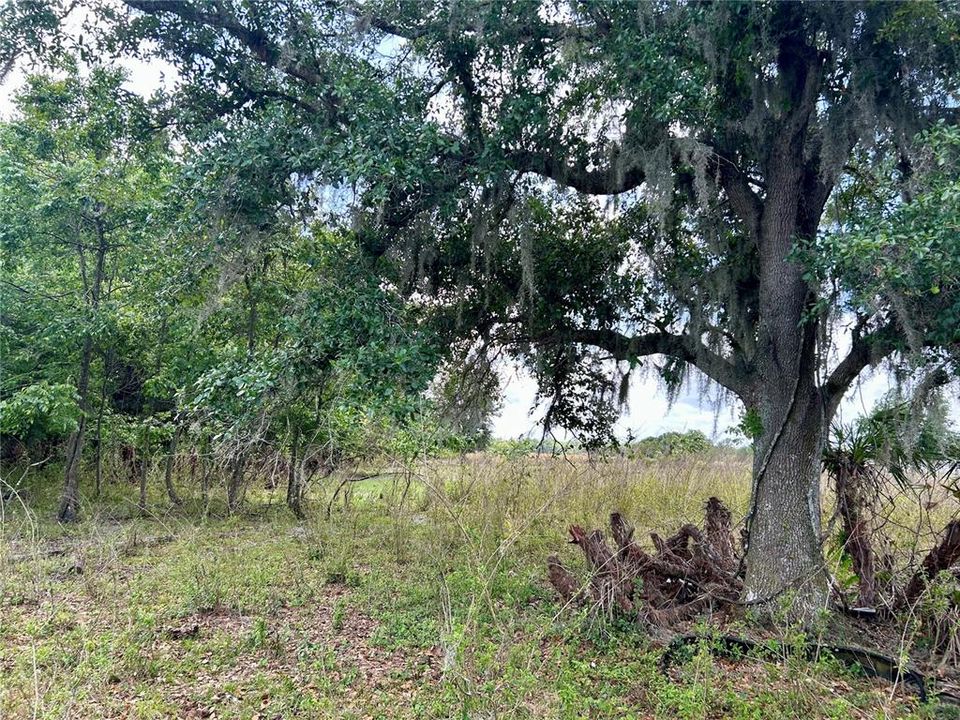 待售: $130,000 (5.41 acres)