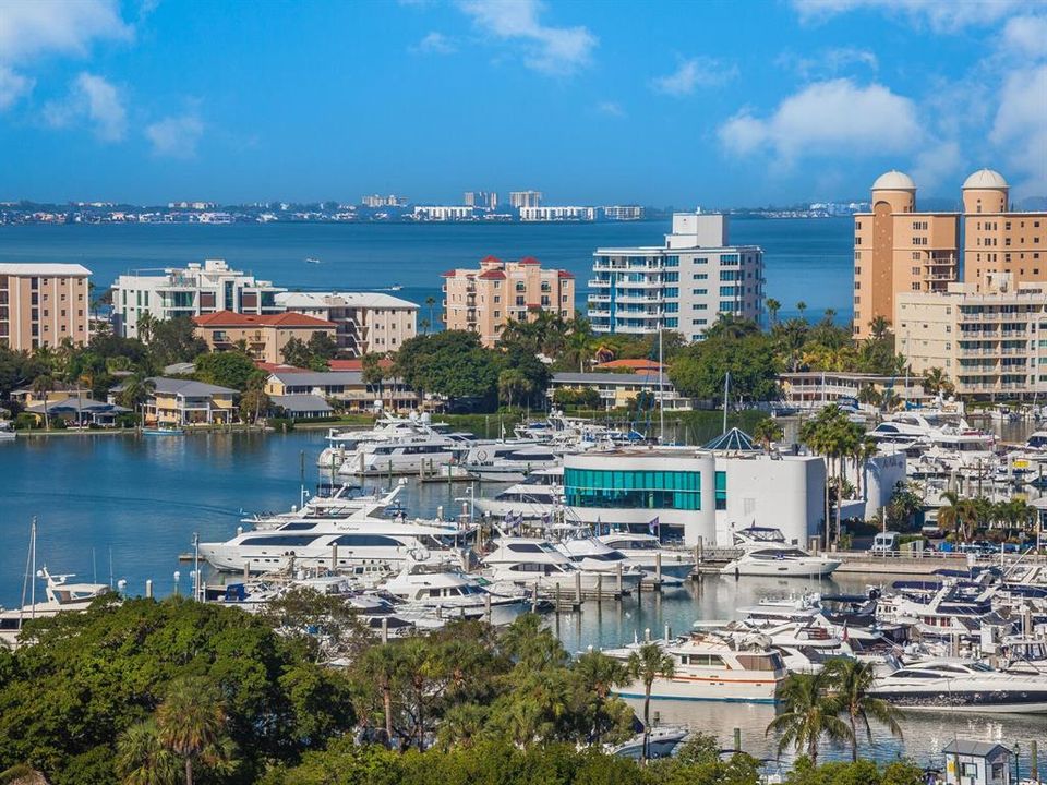 Wonderful Sarasota