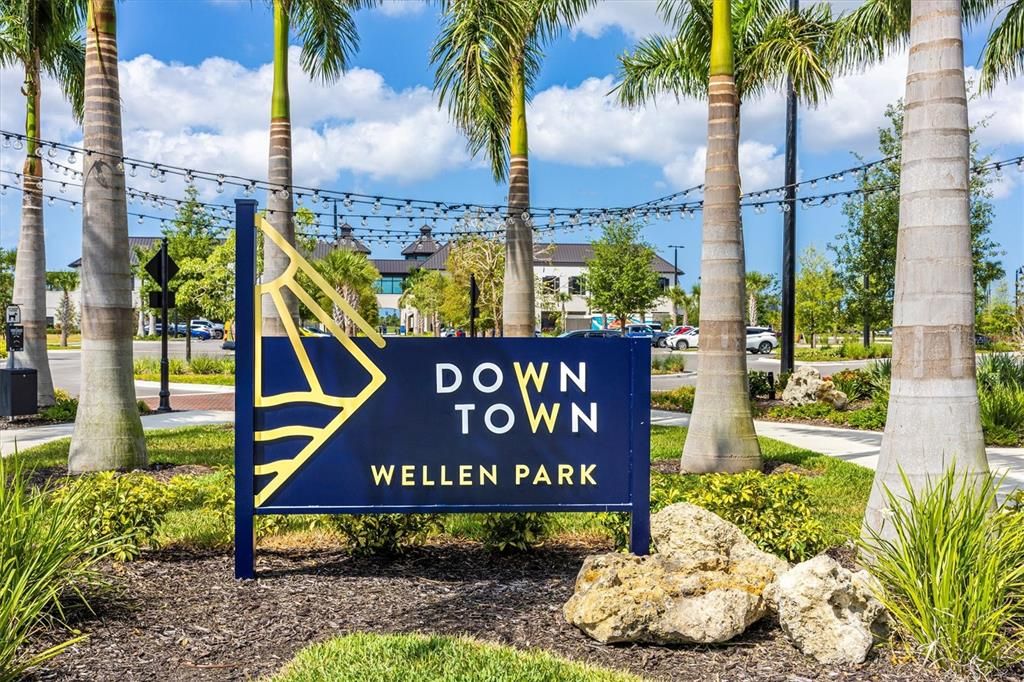 down town wellen park