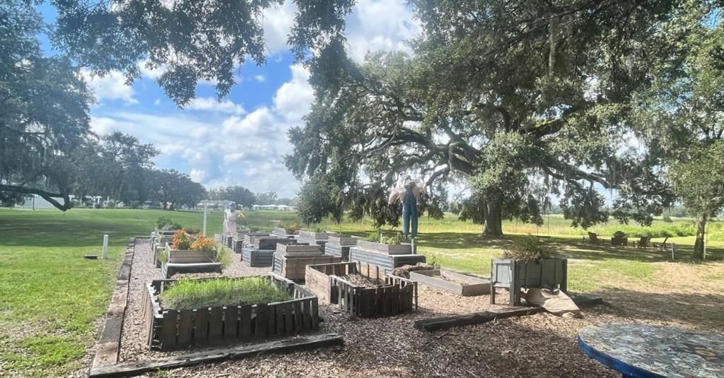 Community garden