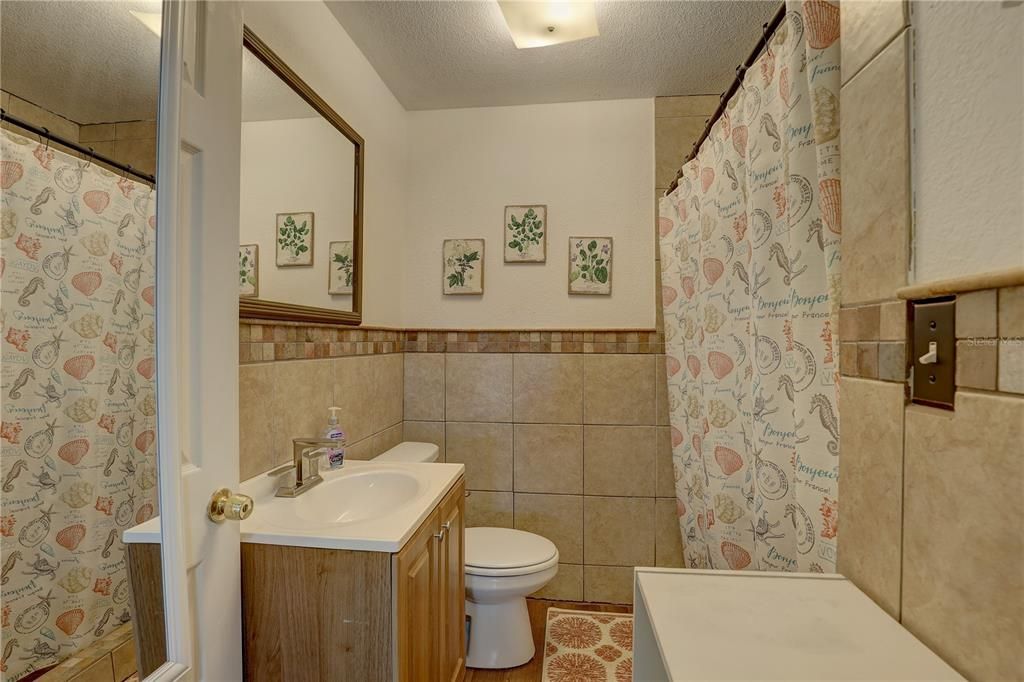 Hall bathroom