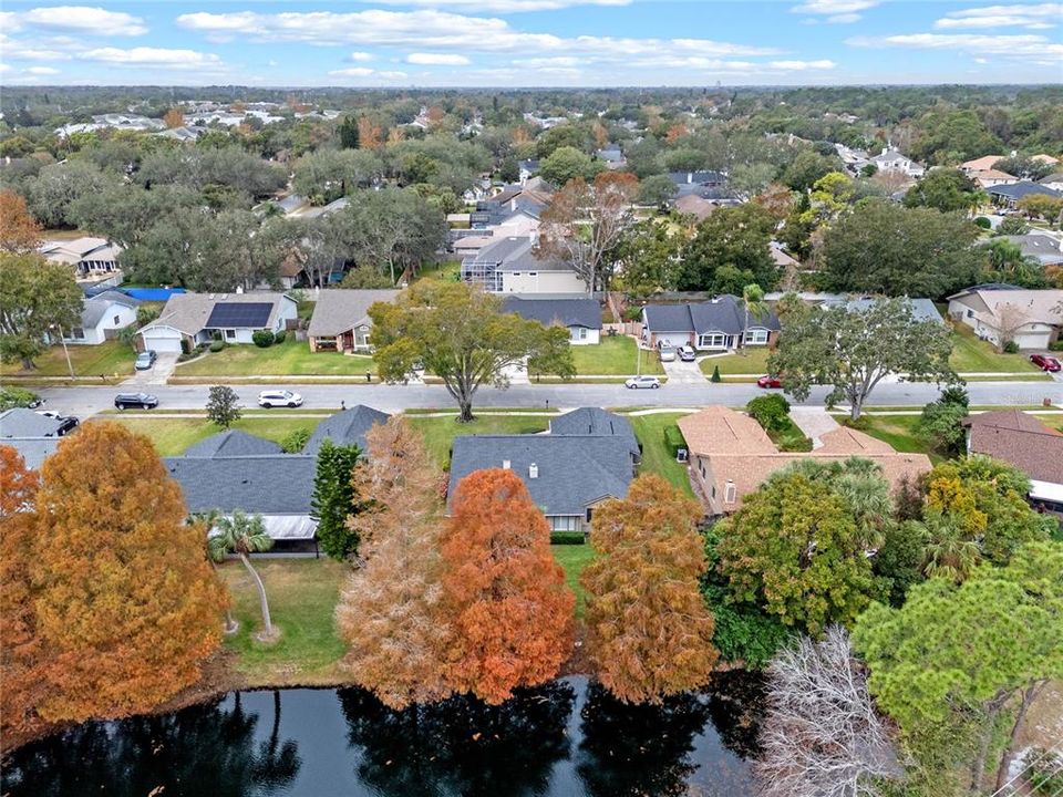 Aerial View of Property