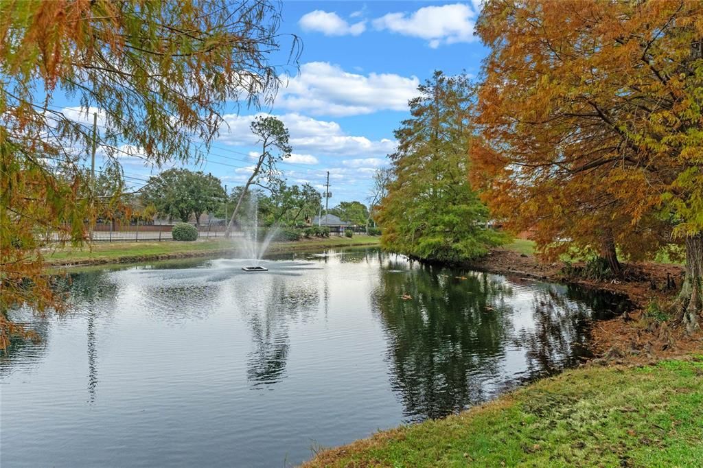 Fountain Pond