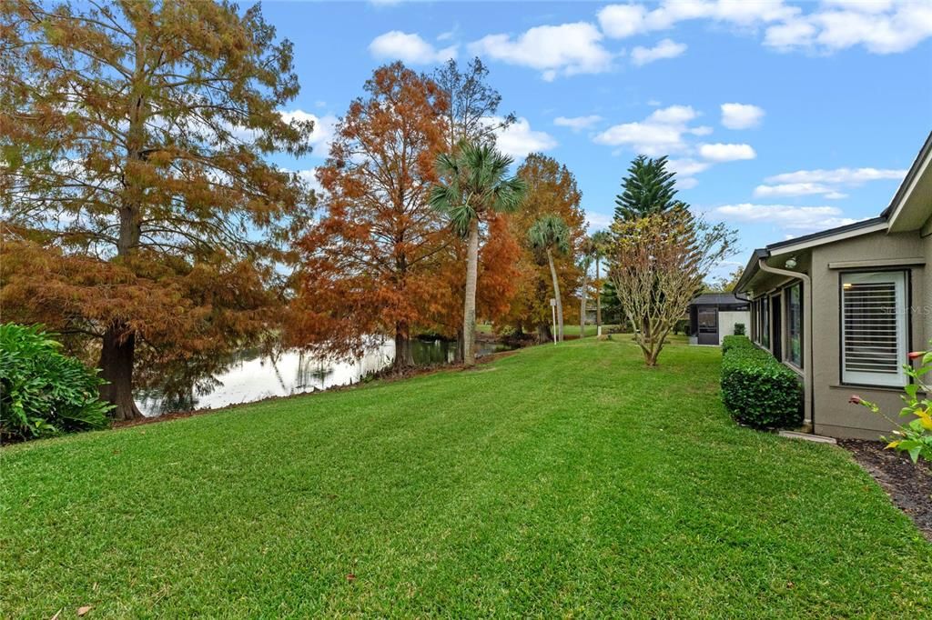 View of Backyard