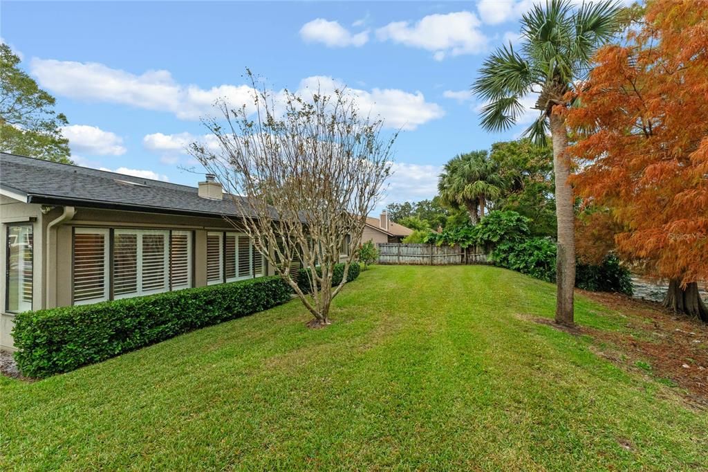 View of Backyard