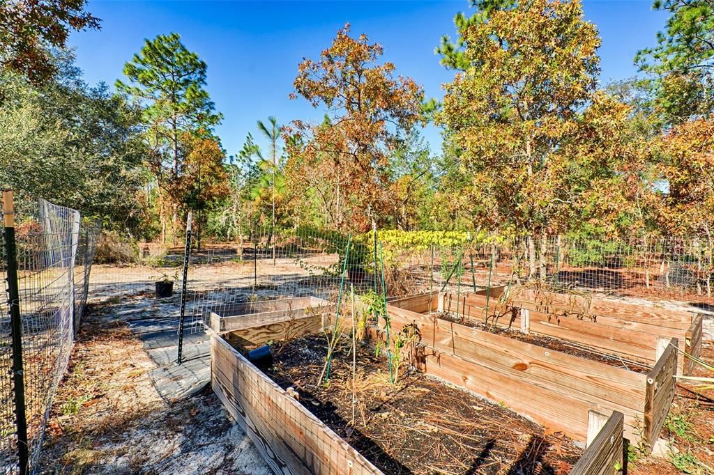 Fenced garden area