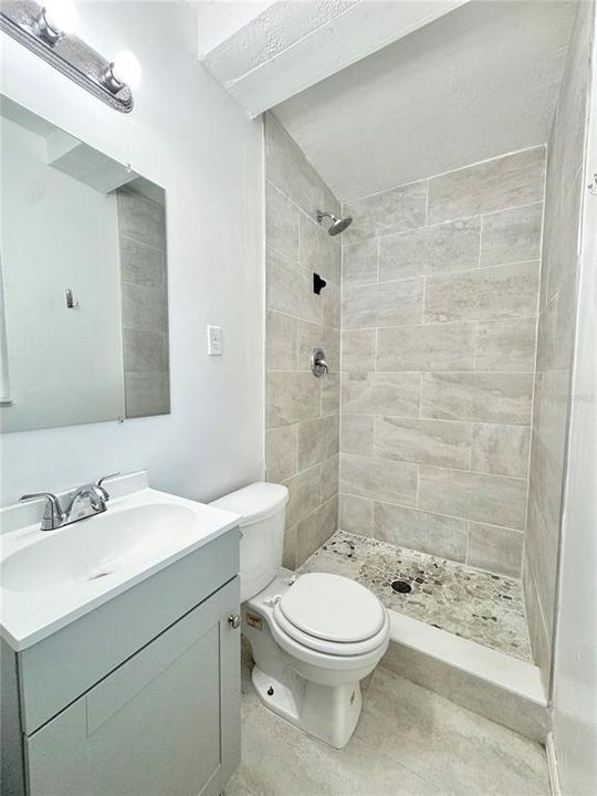 Primary en-suite with walk-in shower