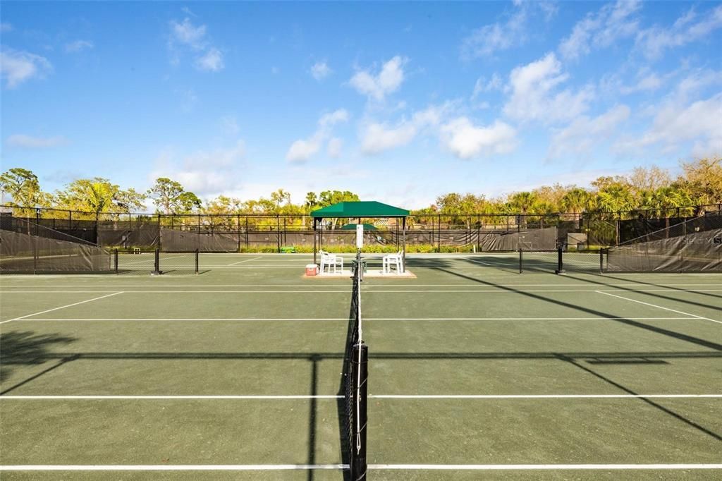 Competitive and Social Tennis on Har Tru courts