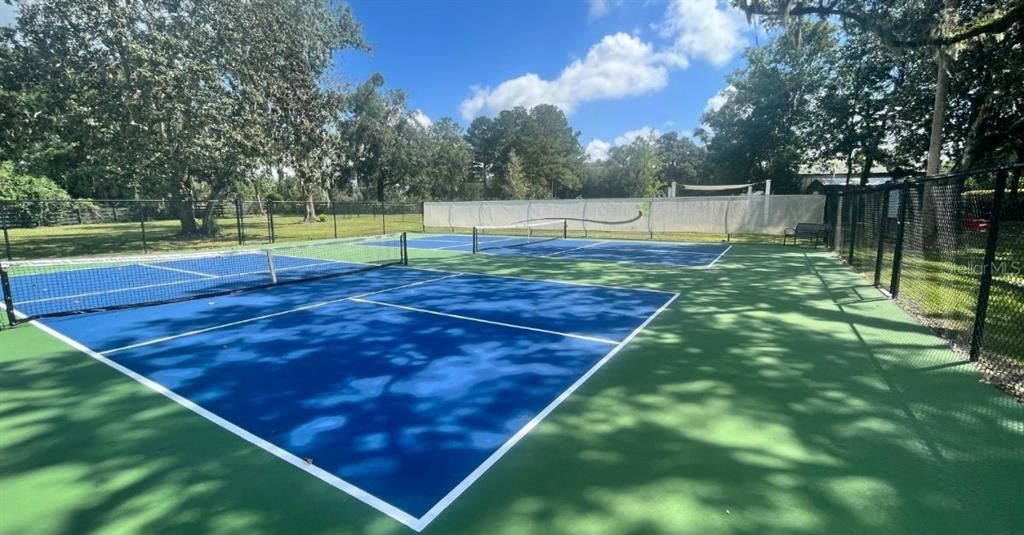 Pickle Ball Courts