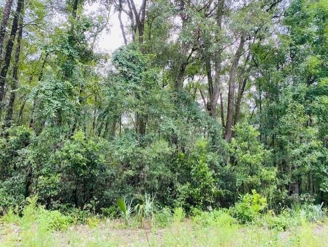 En Venta: $65,000 (4.75 acres)