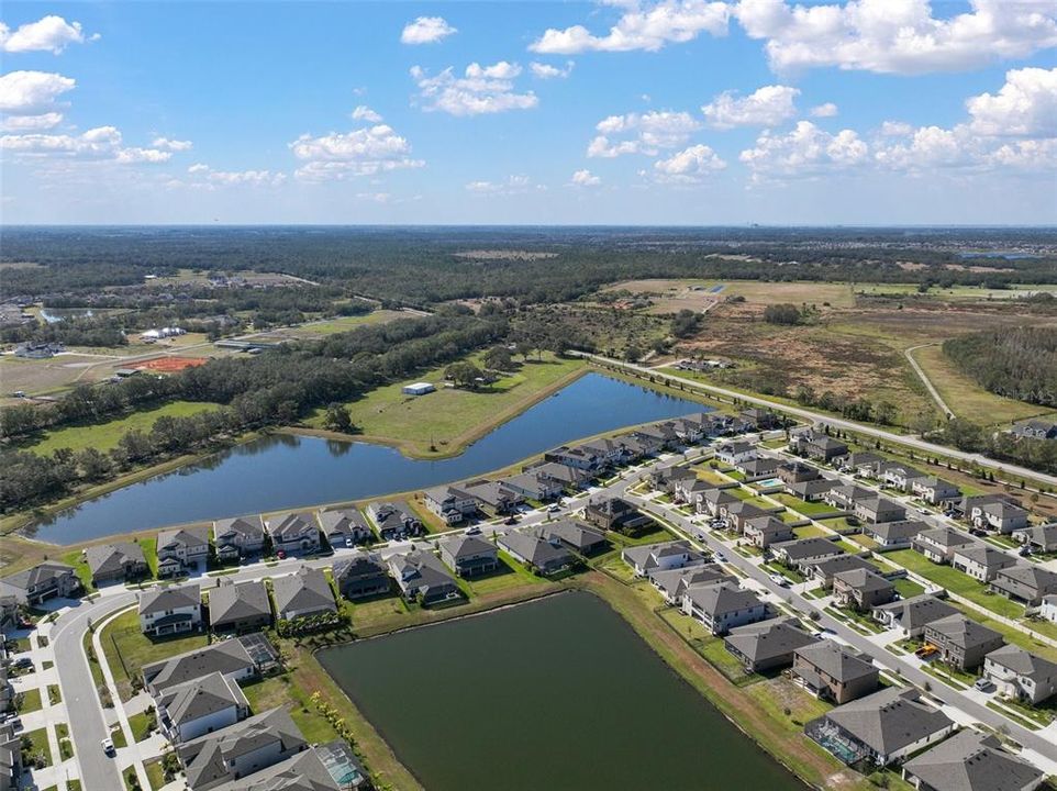 Wonderful Pond View