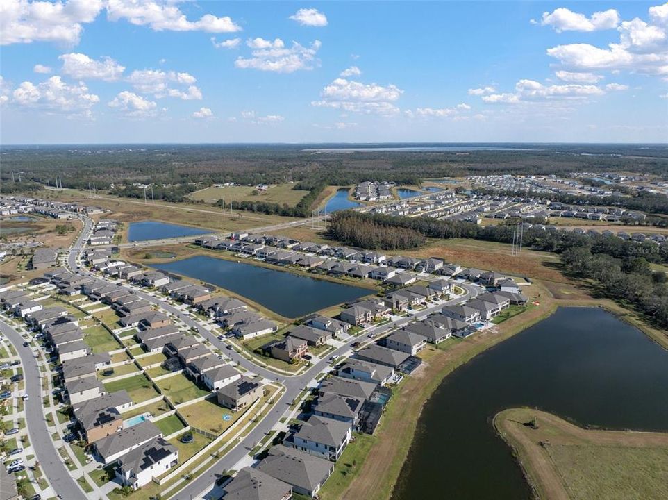 Wonderful Pond View