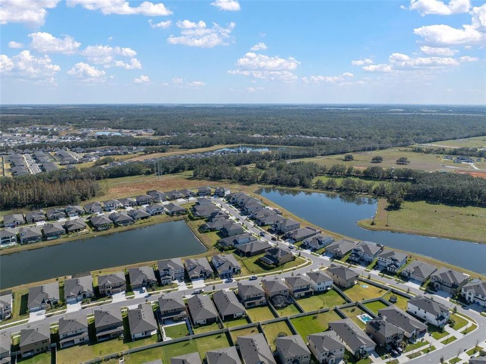 Wonderful Pond View