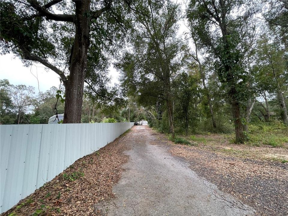 Driveway view from home to the street.