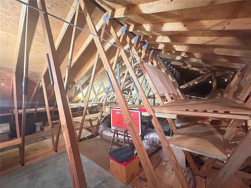 ATTIC STORAGE AREA