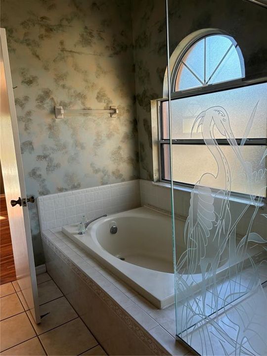 MASTER BATH TUB AND SHOWER