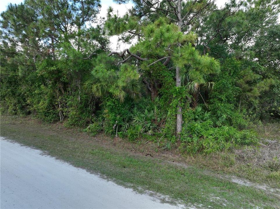 Active With Contract: $44,888 (0.24 acres)