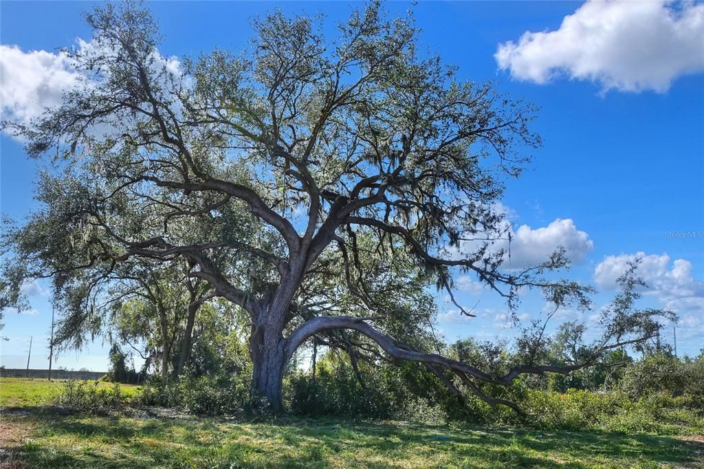 На продажу: $200,000 (1.27 acres)