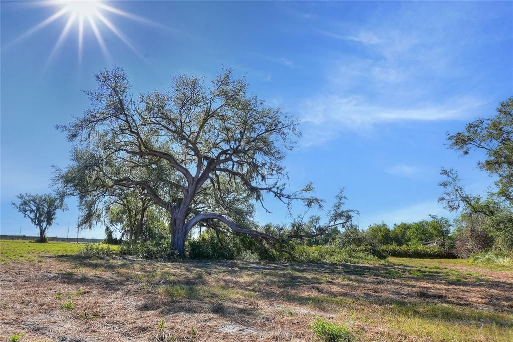 На продажу: $200,000 (1.27 acres)