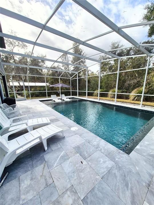 salt pool, sunshelf with bubbler & umbrella holder, travertine deck