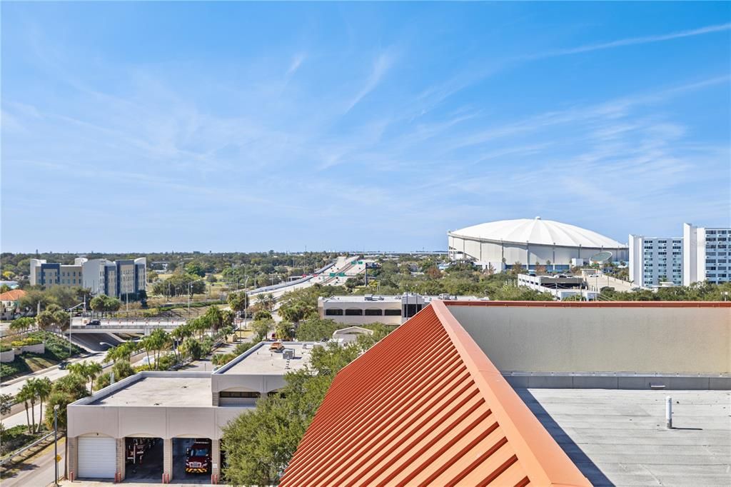 Views of Tropicana Field