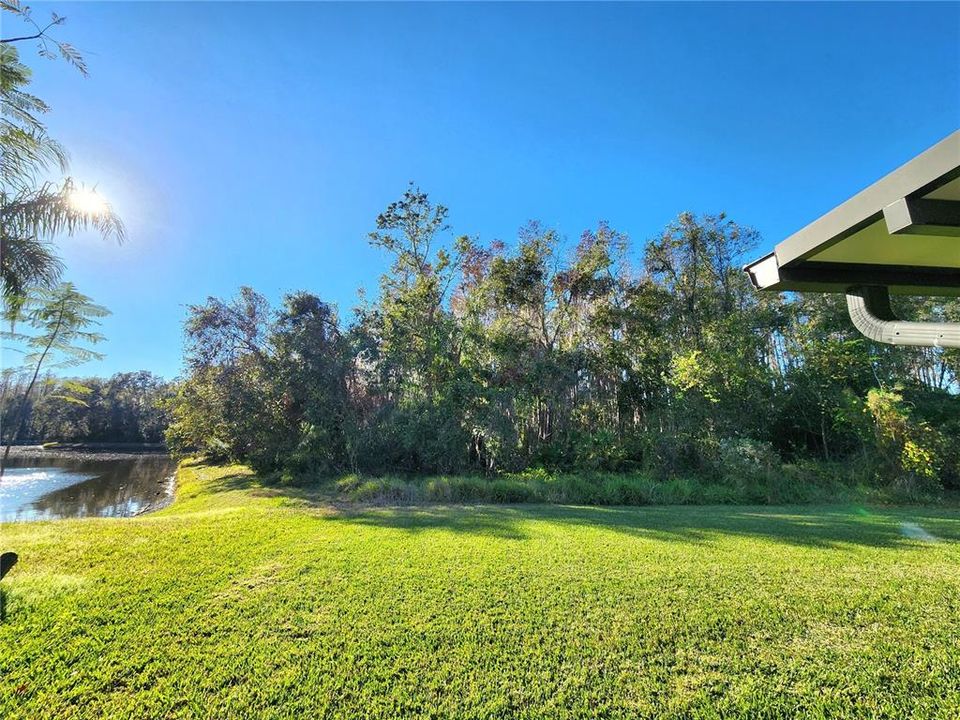 Backyard Facing Protected Conservation Area and Sunsets