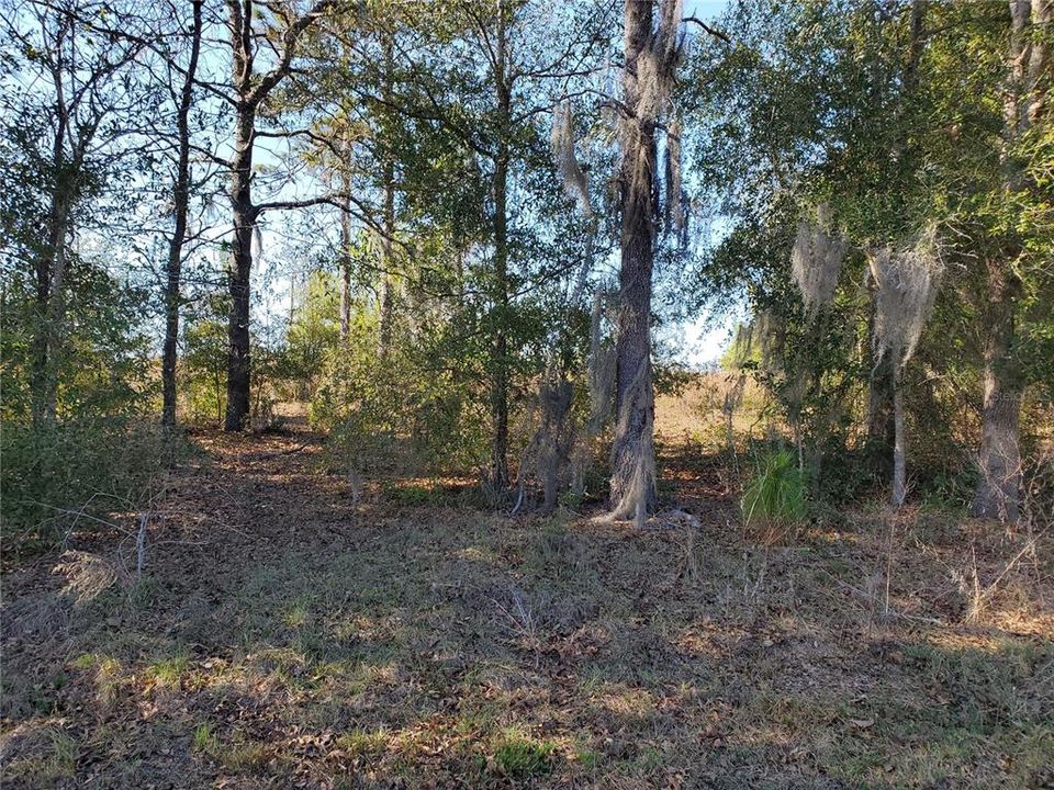 For Sale: $19,900 (0.23 acres)