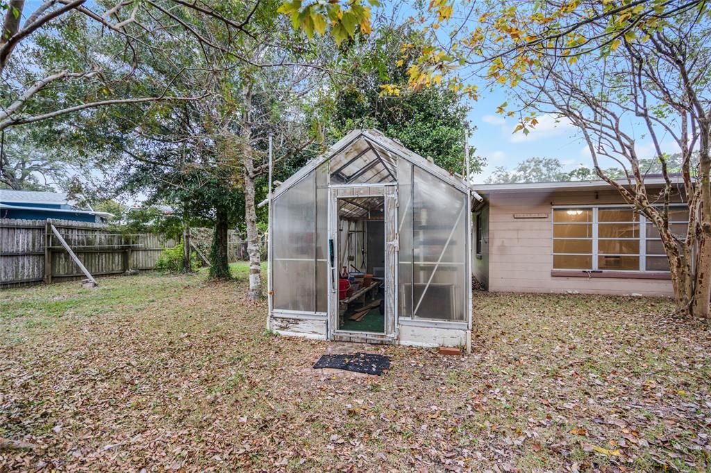 Greenhouse in backyard