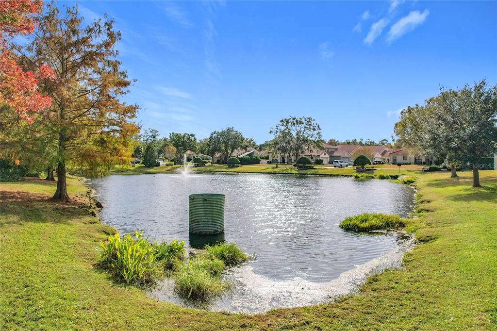 View of pond