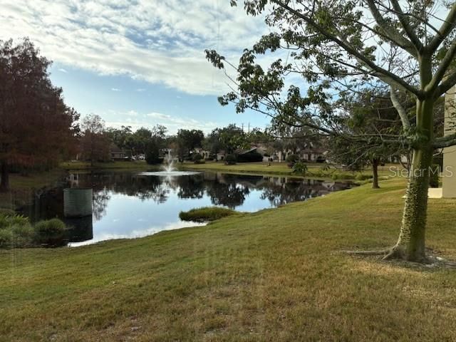 Pond View from Family Room Window (Currently used as large dining area)