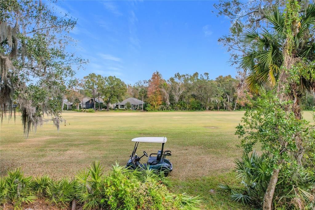 View of golf course